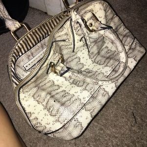 Snake Skin Purse